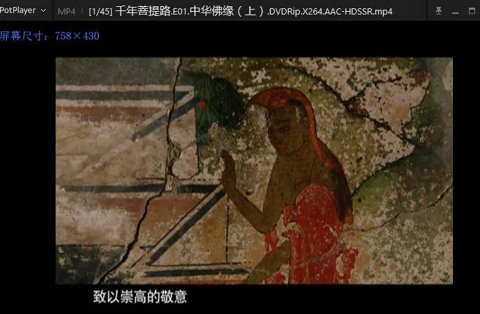 中国佛教纪录片