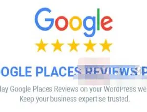Google Places Reviews Pro中文版 - 企业评分管理WordPress插件 2.4.1-蓝海网