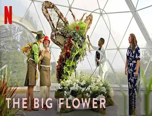 鲜花大战 The Big Flower Fight 第1季 全10集 高清中字