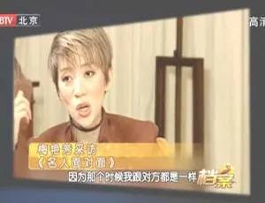 2010 BTV档案 寂寞女人花-梅艳芳 HDTV 720p x264-CHDTV-蓝海网