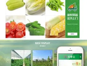 绿色蔬菜水果企业网站模板 响应式手机版