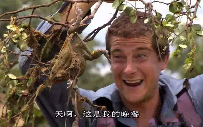 恐惧症治疗真人秀
