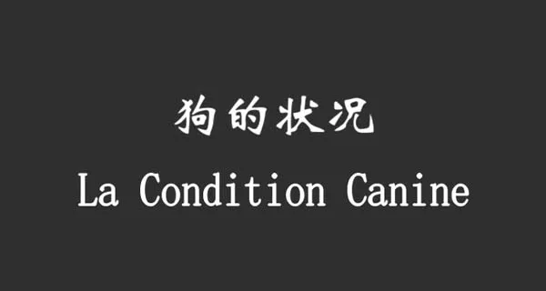 贾樟柯独立电影