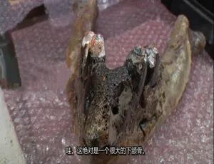 古物奇谭 1080P高清 第一季全9集 原声中字 揭秘千年珍宝-蓝海网