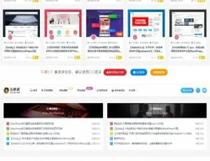 亲测可用 RiPro主题虎造子二次开发版 大气简洁后台美化包v1.9
