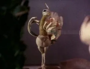 孔雀的焰火1982 儿童教育电影 国语版