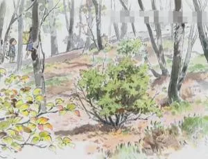 辉夜姬物语2013 经典儿童成长动画 高清国语中字版-蓝海网