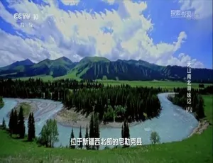 天山南北寻味记 2019 全8集 国语中字 1080P高清纪录片