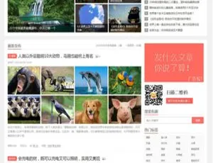 阿里百秀风格织梦模板 PHP博客文章资讯系统网站源码-蓝海网