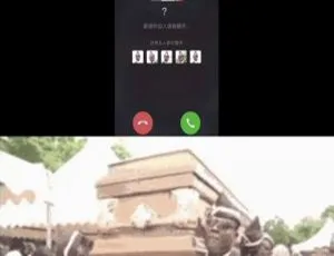 爆火黑人抬棺语音通话HTML源码 一键部署免下载-蓝海网