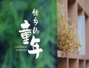 他乡的童年纪录片 | 4K/1080P全6集 国语中字高清版-蓝海网