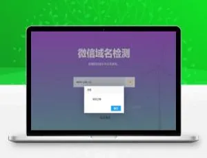微信域名拦截状态实时检测工具-蓝海网