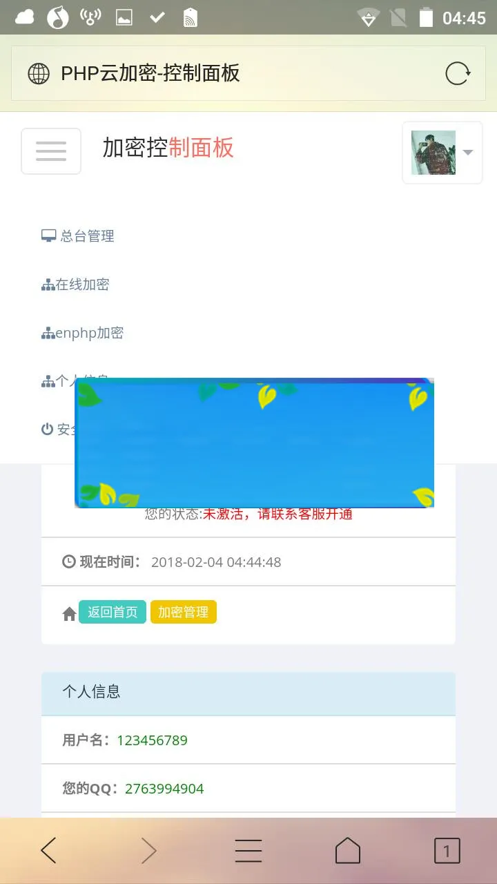 代码加密保护
