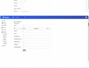 2024最新抖音快手点赞任务系统 小红书头条威客兼职教程 实时对接短信更新
