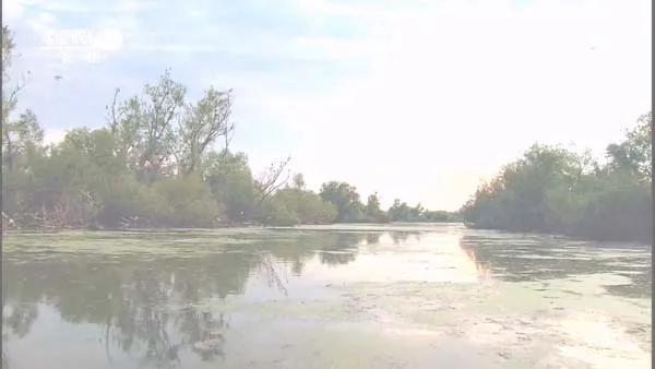 Wild Danube 纪录片
