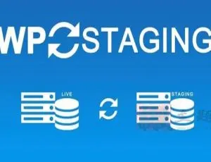 WP Staging Pro 3.2.5汉化中文版：WordPress网站数据库一键克隆备份迁移插件-蓝海网