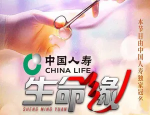 生命缘 第9季 高清全集