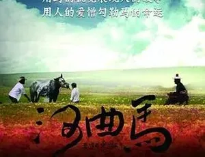 2013河曲马 汉语普通话 全1集高清纪录片