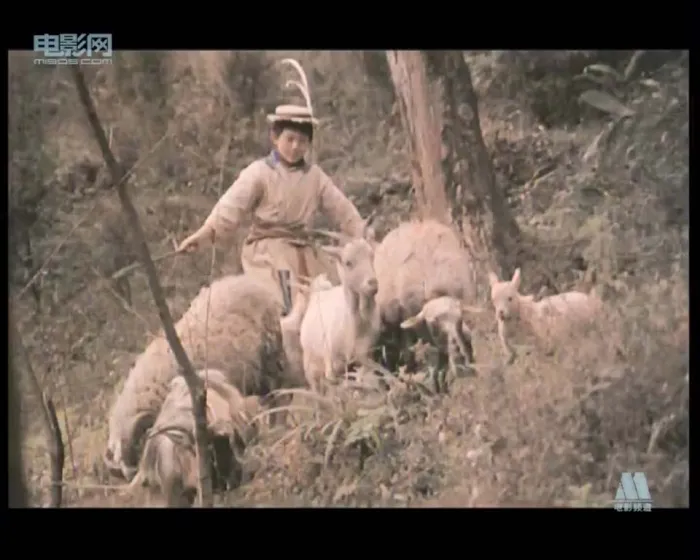 熊猫历险记1983电影