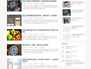 WordPress DUX主题1.8版 高效建站模板-蓝海网