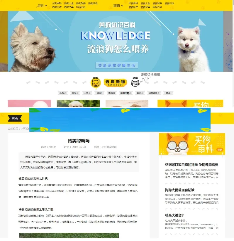 宠物网站SEO优化