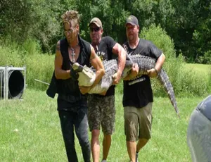 灭虫大师 Billy the Exterminator 第二季全19集 1080P高清 英语中英字幕 纪录片-蓝海网