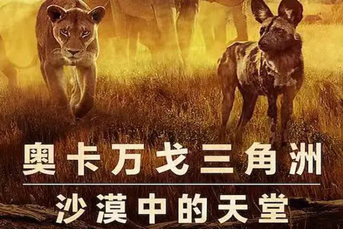 Netflix纪录片