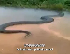证据就在那里 The Proof is Out There 第三季全集 1080P MKV 英语中英双字 官方纯净版-蓝海网
