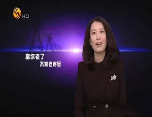 凤凰大视野2020纪录片全季完整版 720P 1080i高清画质