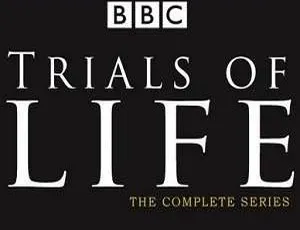 BBC生命之源全集12集英语中文字幕高清视频