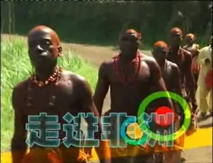 走进非洲 2003 高清全21集 国语中字
