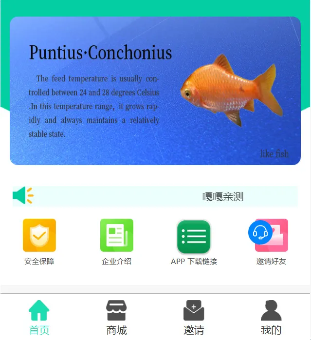 养鱼金融理财系统开发