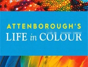 Life In Colour 英文动画全3集 英语启蒙儿童早教高清-蓝海网