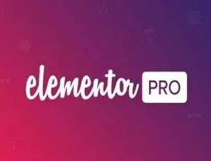 Elementor Pro汉化版+Elementor插件 拖拽式WordPress页面设计工具中文版-蓝海网
