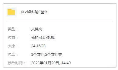 1080P中字美剧