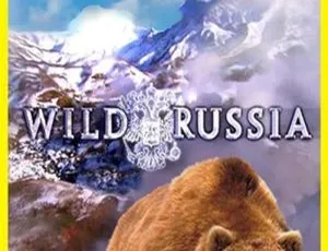 野性俄罗斯Wild Russia全6集 英语原版儿童自然科普纪录片