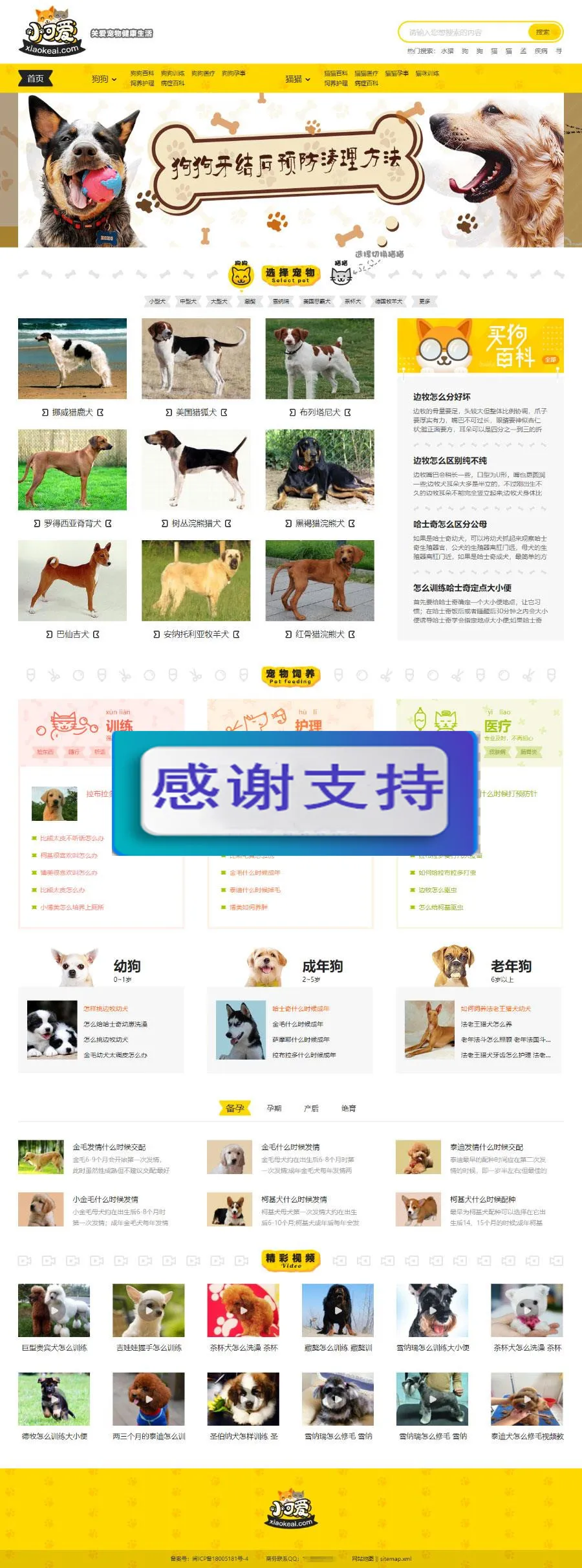 自适应手机版整站程序