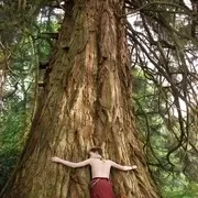 吕克·贝松 奇幻动画