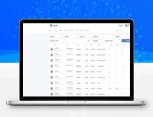 NGK区块链开发：挖矿开发与公链技术指南