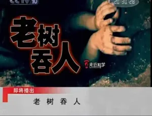 走近科学 2011全集 高清修复版