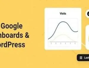 Beehive Pro 3.4.8中文版 Google Analytics高级自定义插件-蓝海网