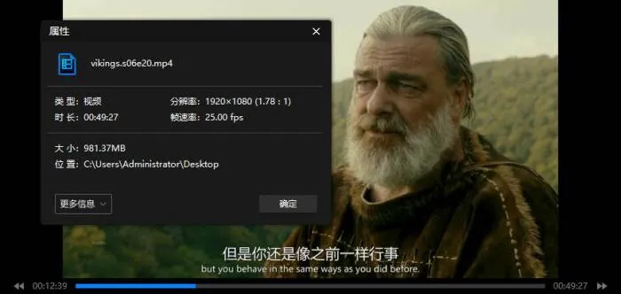 维京传奇全六季高清下载