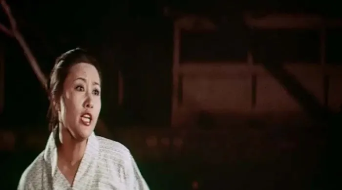 唐人镖客 1972