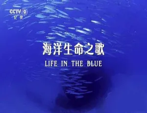海洋生命之歌 Life in the Blue 蓝光全1集中字-蓝海网