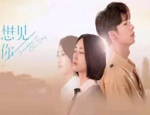 《想见你》2019台湾剧 国语中字 13集全 高清720P 全剧终珍藏版