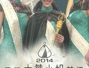 2014香港国际中华小姐竞选 高清完整版 粤语无字 MKV-蓝海网