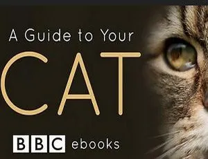 猫咪观察 BBC纪录片全3集 英语原声中文字幕 MP4高清
