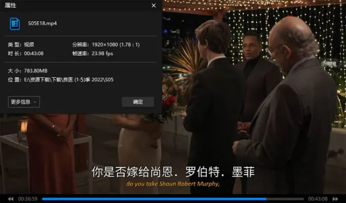 美剧良医中英字幕