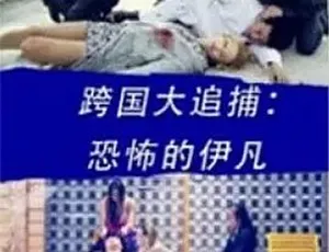2016跨国大追捕：恐怖的伊凡 动作犯罪 国语高清-蓝海网