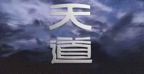 天道24集全集